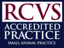 Accredited by the Royal College of Veterinary Surgeons